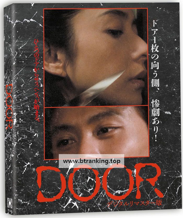 도어 Door (1988) (1080p BluRay x265 10bit EAC3 2.0 Japanese r00t)