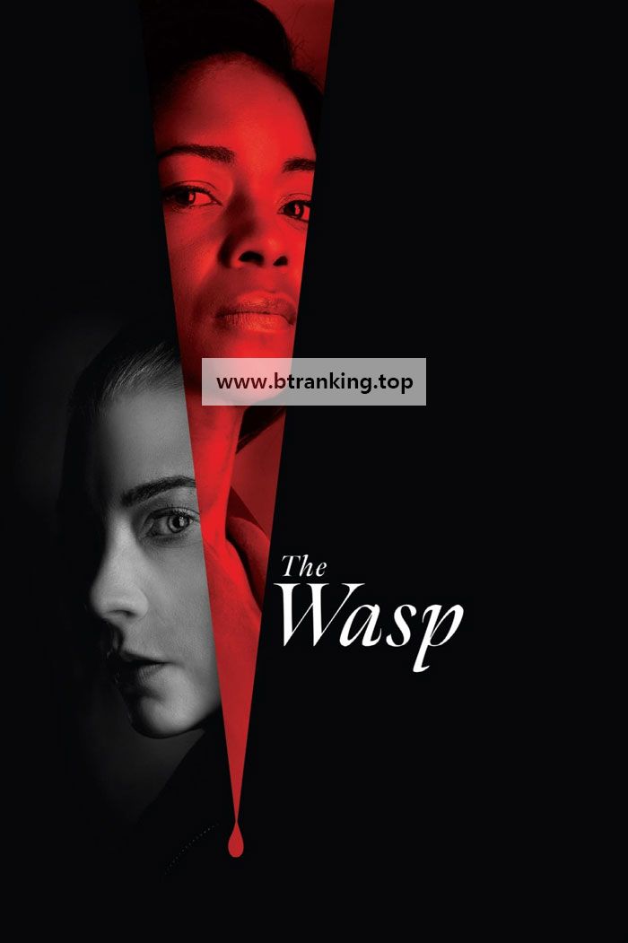 말벌 The.Wasp.2024.1080p.AMZN.WEB-DL.DDP5.1.H.264-FLUX